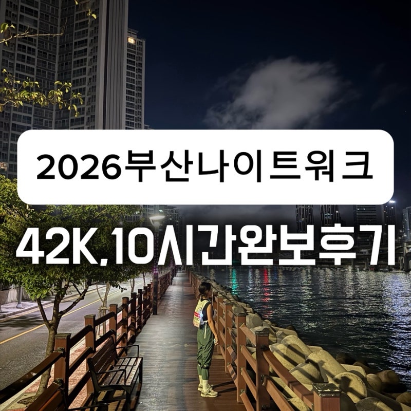 2026 부산나이트워크42K 10시간 완보 실제 후기 , APEC나루공원