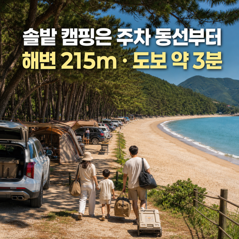 추천캠핑장 남해 상주은모래비치 오토캠핑장, 솔밭에서 바다 즐길 때 주차 동선부터 보는 이....