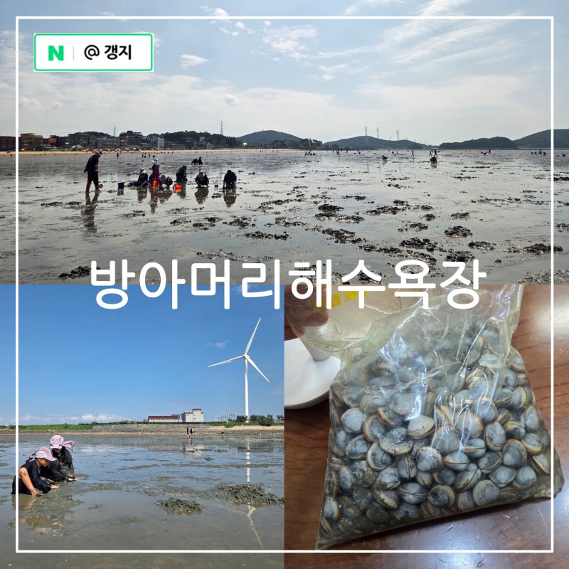 서해 방아머리 해수욕장 대부도 해루질 체험 갯벌 조개 잡이 물때표 보는법