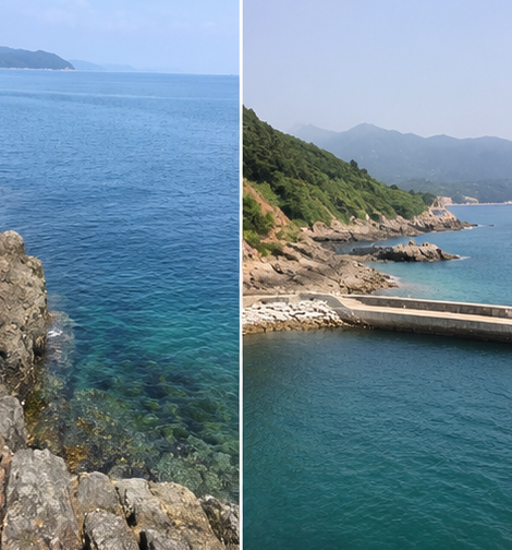 경남 통영 사량도 갯바위 해루질 40대 실종자 사흘 만에 숨진 채 발견, 연안 안전사고 책임 및....