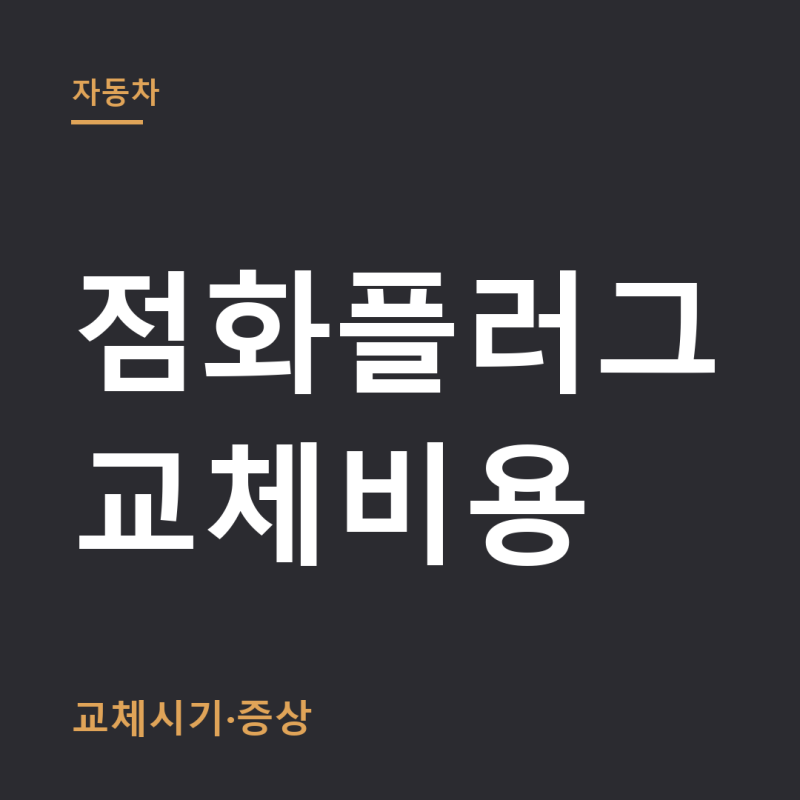 점화플러그 교체비용 총정리 (+교체시기, 증상)