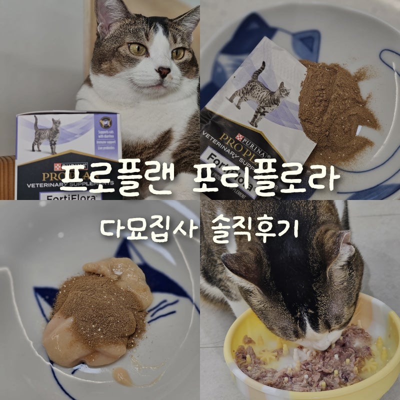 다묘 집사 솔직 후기,프로플랜 포티플로라 성분부터 급여법까지
