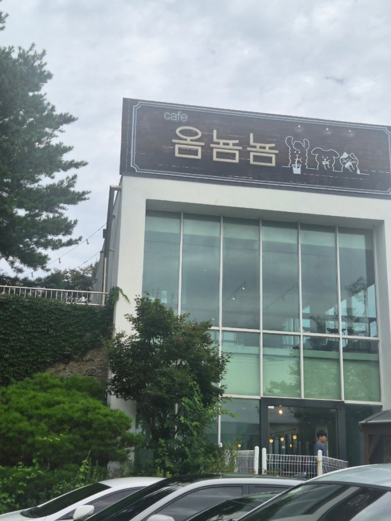 23개월 아기랑 갈만한 곳｜남양주 이색 카페 옴뇸뇸, 알파카·미니돼지와 함께