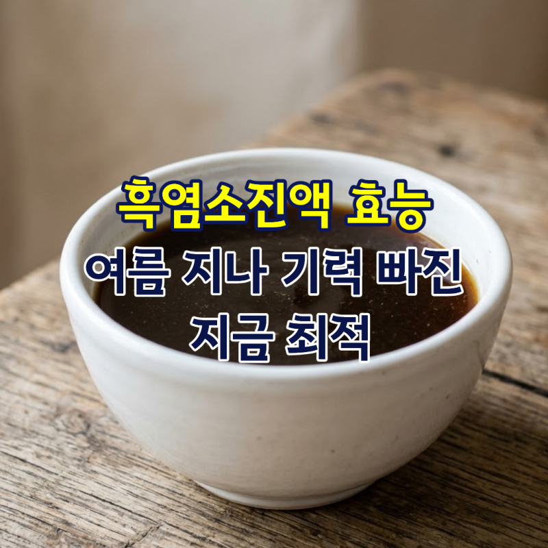 흑염소진액효능 여름 지나 기력 빠진 지금 최적