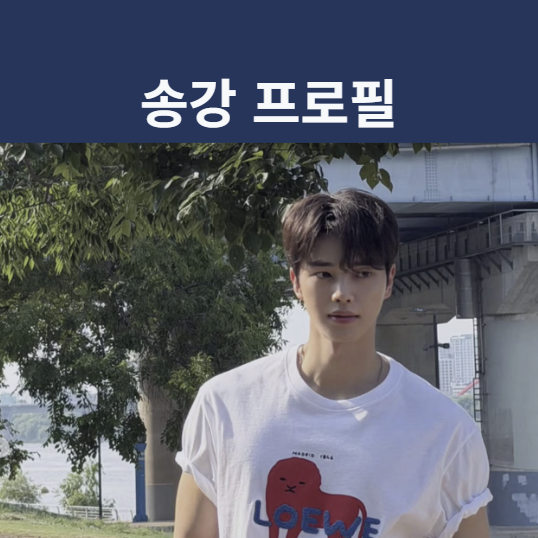 송강 프로필 나이 키 군대 전역 후 복귀작 포핸즈까지