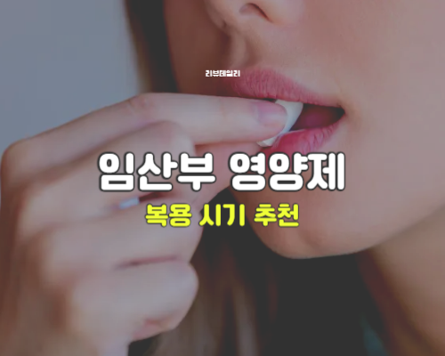 임산부 영양제 복용 시기: 엽산 철분 오메가3 언제 먹을까? (시기별 정리)