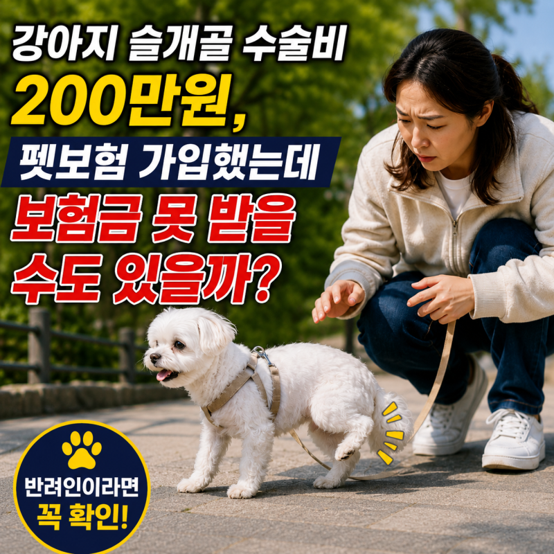 강아지 슬개골 수술비 200만원, 펫보험 가입했는데 보험금 못 받을 수도 있을까?