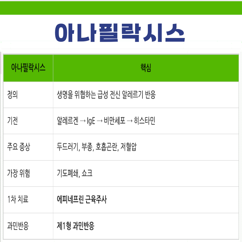 아나필락시스 기본정보