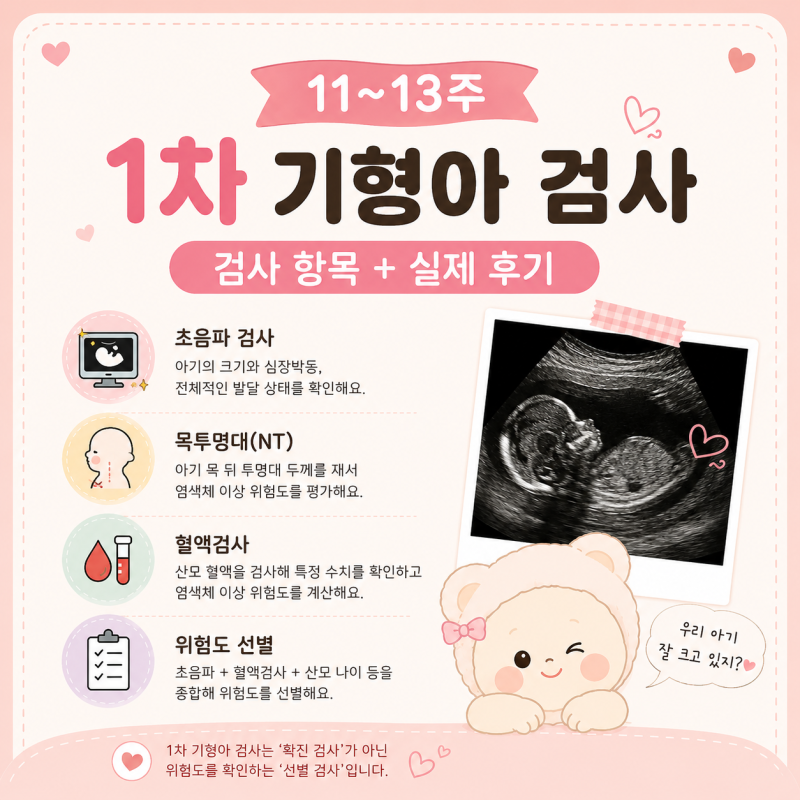 임신 11~13주 차라면 확인해야 할 1차 기형아 검사 항목 정리