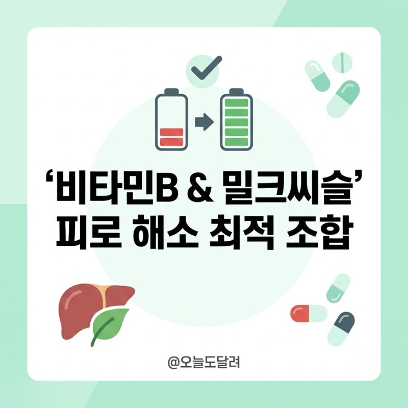 만성 피로 영양제 조합: 비타민B 밀크씨슬 복용 시간 총정리