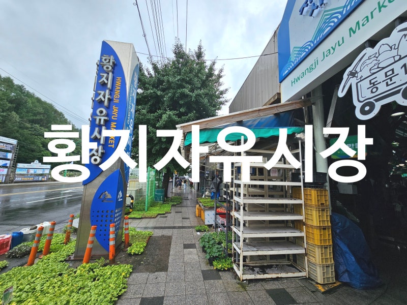 태백 당일치기 여행이라면 황지자유시장 필수 먹거리 주차장 정보