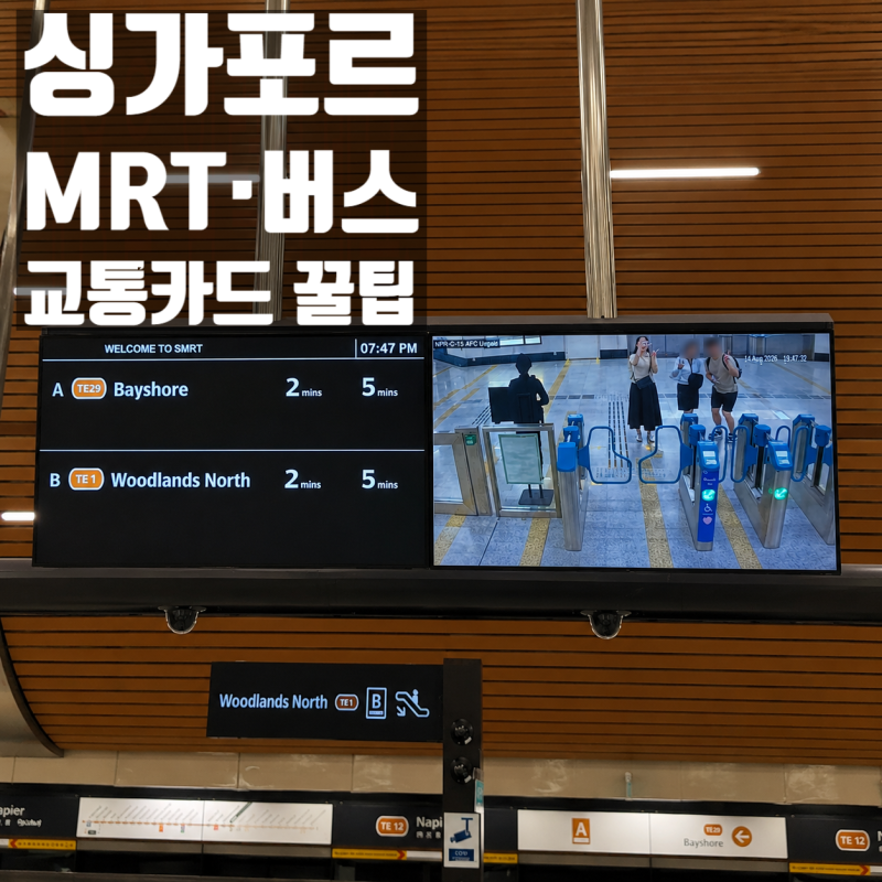 싱가포르 여행 대중교통 총정리 MRT 버스 트래블월렛 사용후기 그랩 TADA