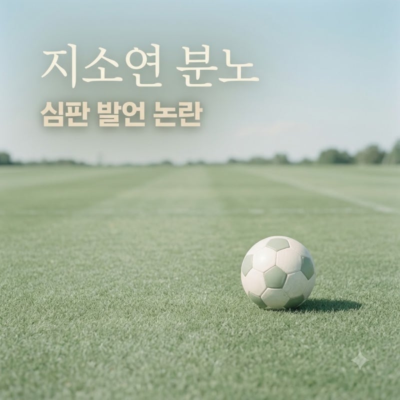 배선영 심판 지소연 생리 발언 논란 정리와 현재 조사 상황