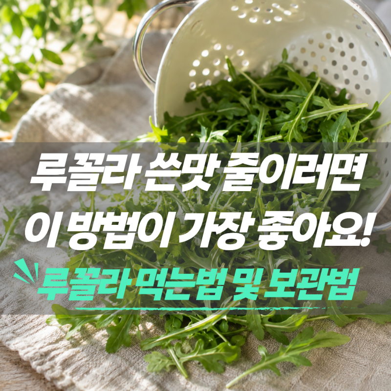 루꼴라 보관법과 먹는법, 쓴맛 줄이는 방법까지 한번에 알아보기