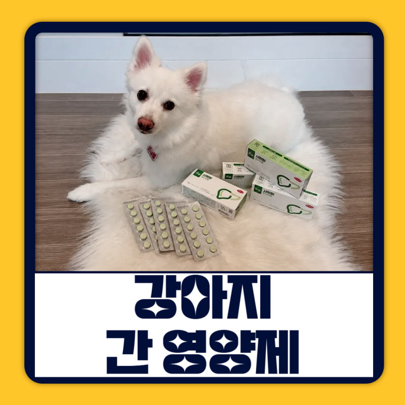 강아지 간 영양제 모두 사메탑 매일 챙기는 간건강