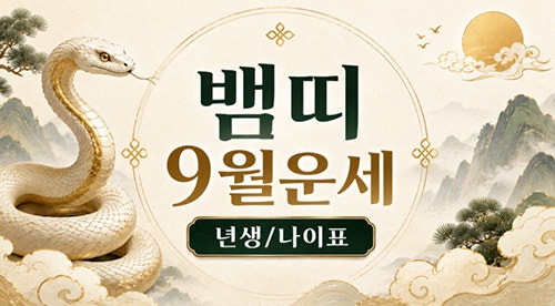 뱀띠년생 나이 상극 궁합 | 26년 9월 뱀띠운세(01년생, 89년생,77년생, 65년생)