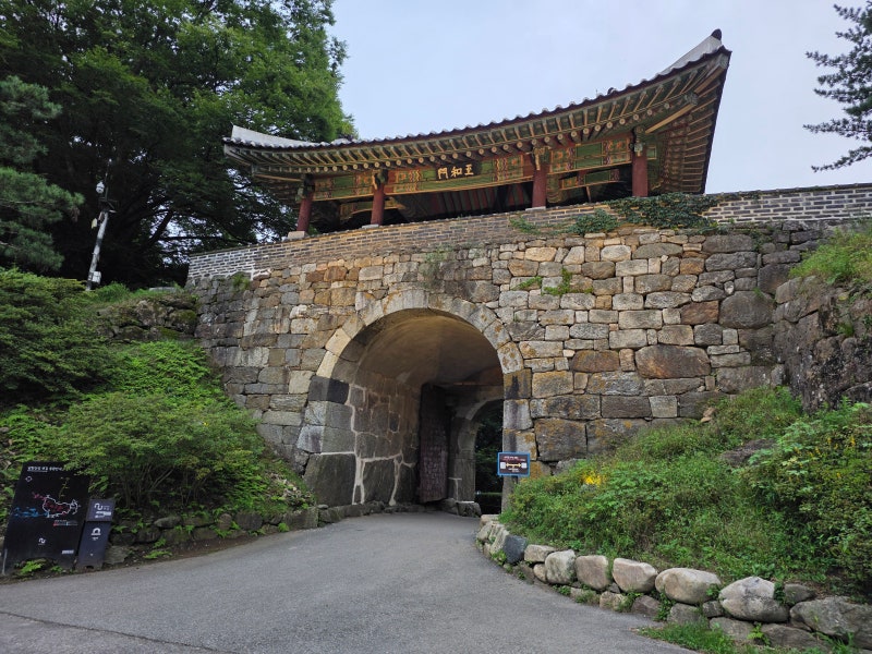 [자연과함께 | 남한산성] 초급자 1코스 한바퀴 후기 (주차 꿀팁, 산에 고양이 있음!!)