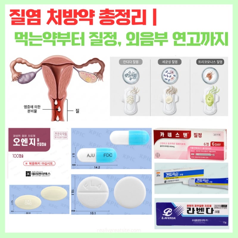 질염 처방약 총정리 | 먹는약부터 질정, 외음부 연고까지