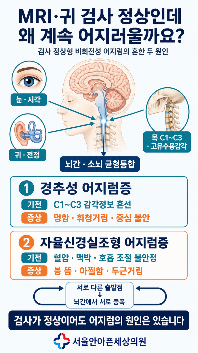경추성 어지럼증과 자율신경실조형 어지럼증｜MRI·귀 검사 정상인데 계속 어지러운 이유