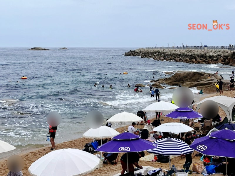 Jangsa-hang, Sokcho: A Snorkeling Hotspot. My Experience with Parking and Shower Facilities Changed My Mind