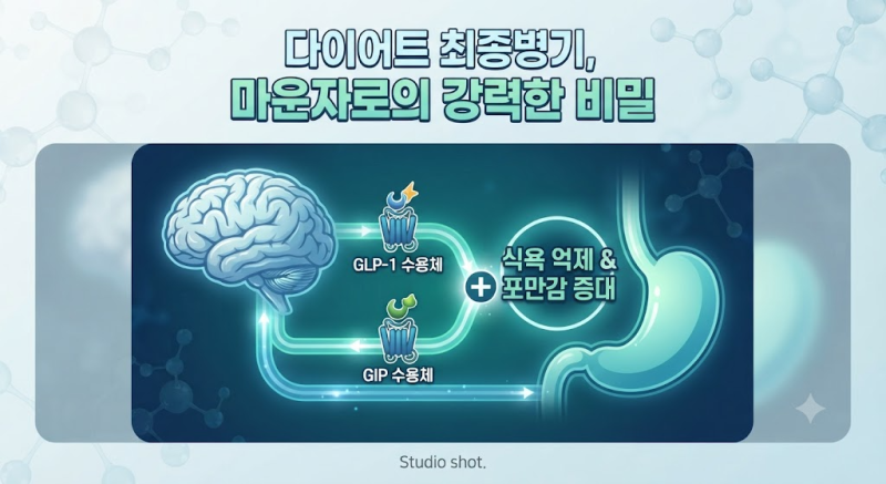 마운자로 가격? 용량/효과, 처방 조건, 부작용 및 실비 적용 여부 총정리