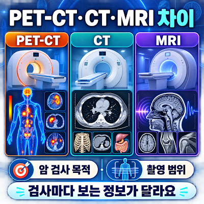 PET-CT와 CT·MRI 차이는 무엇인가요?｜암 검사 목적·촬영 범위 비교