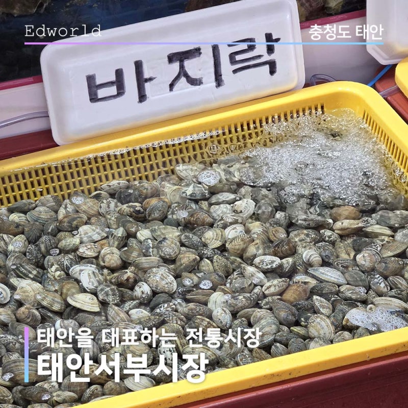 태안여행 전통시장 태안서부시장