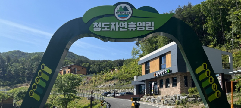 [청도자연휴양림] 주말 숲속의 집 예약 성공 꿀팁 & 아이들 취향 저격 주변 로컬 맛집 대공개