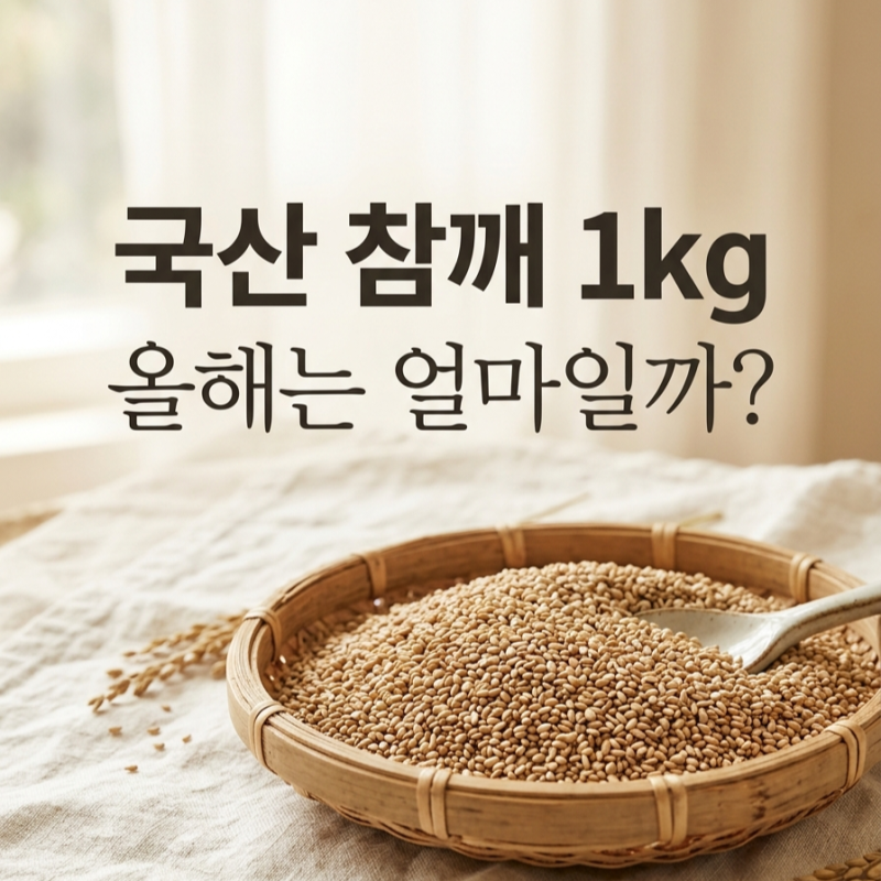 국산 참깨 가격 1kg 지난해보다 8% 하락? 2026 햇참깨 시세