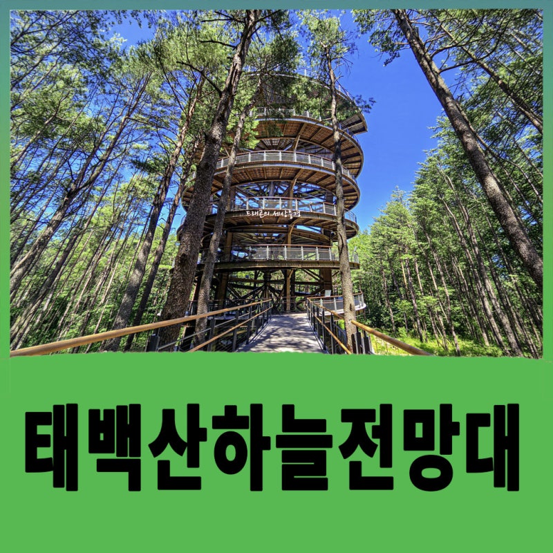 태백 가볼만한 곳, 해발 863m 태백산 하늘전망대에서 만난 태백산의 풍경