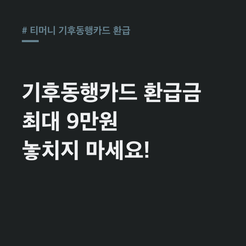 티머니 기후동행카드 환급, 3만원부터 9만원까지 다 받는 법