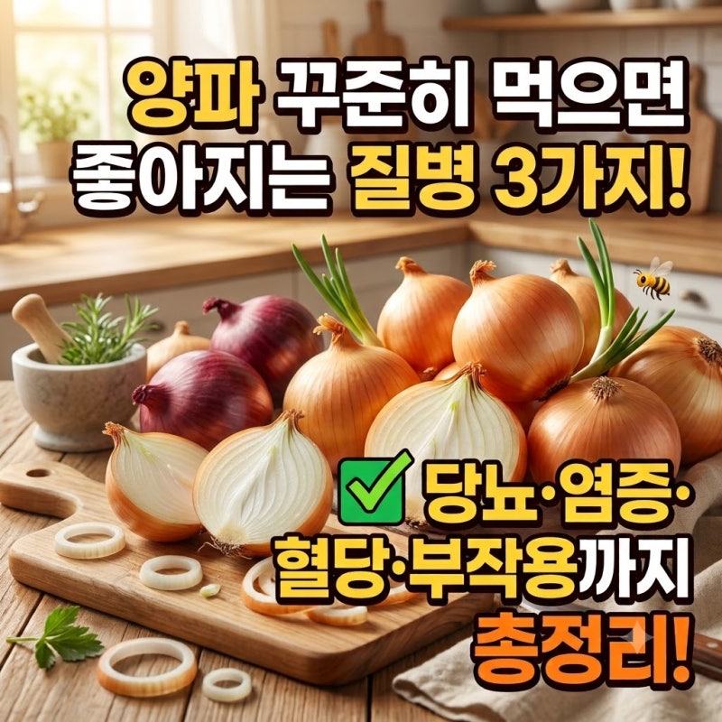 양파 효능 효과 총정리! 당뇨 혈당 관리부터 염증 다이어트 부작용까지