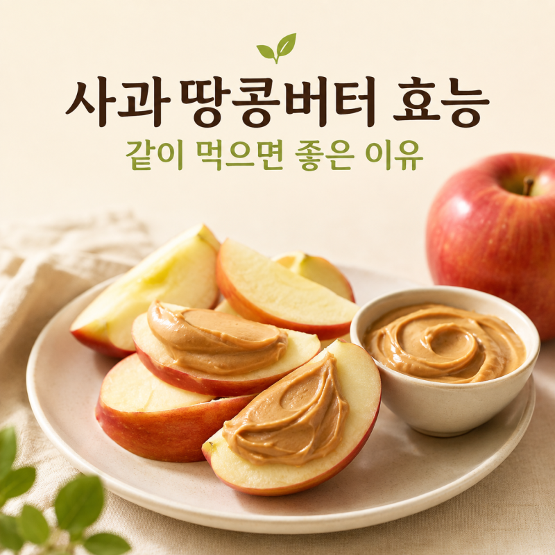 사과 땅콩버터 효능, 아침 간식으로 먹을 때 좋은 점과 칼로리
