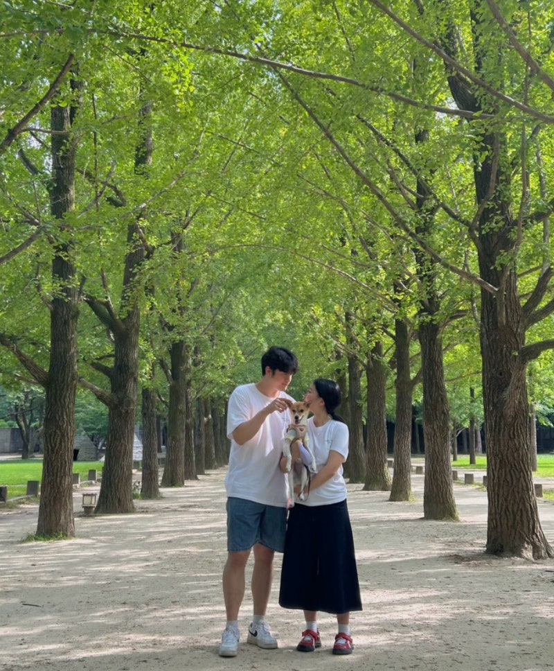 강아지와 남이섬 여행 | 애견동반 닭갈비, 카페, 액티비티