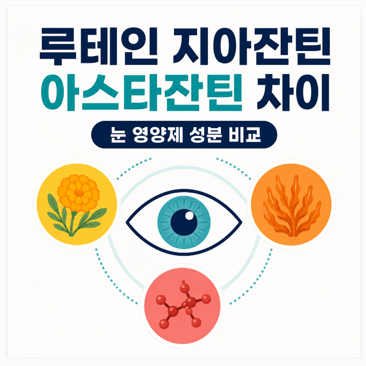 루테인 지아잔틴 아스타잔틴 차이, 눈 영양제 성분 제대로 비교하기