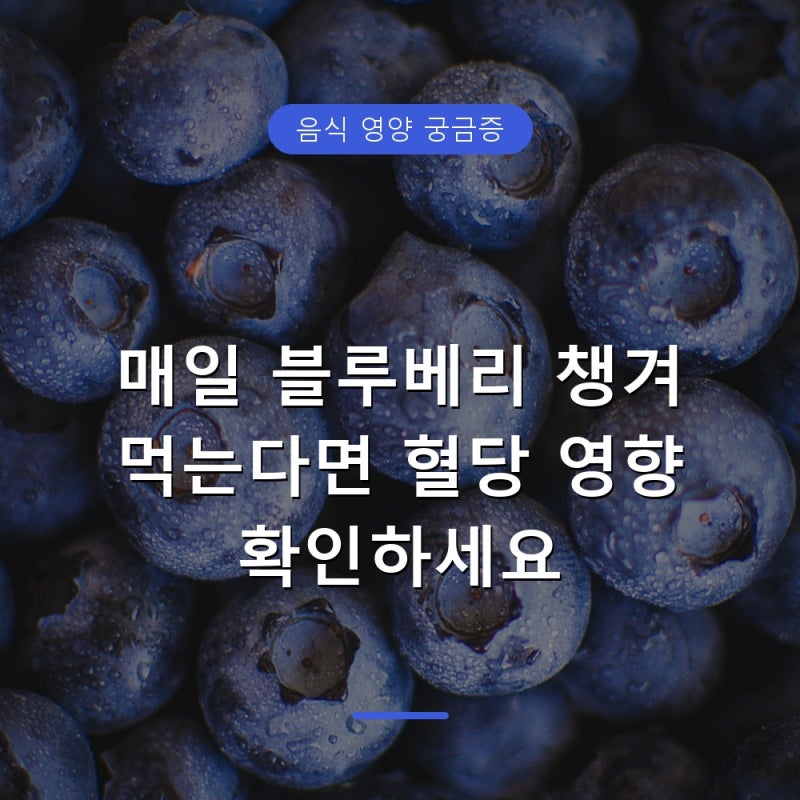 블루베리가 혈당에 미치는 영향과 당뇨 환자 주의사항