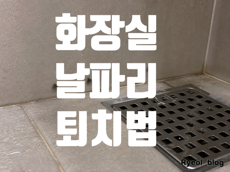 화장실 날파리 없애는 법, 배수구를 청소해도 다시 생기는 이유