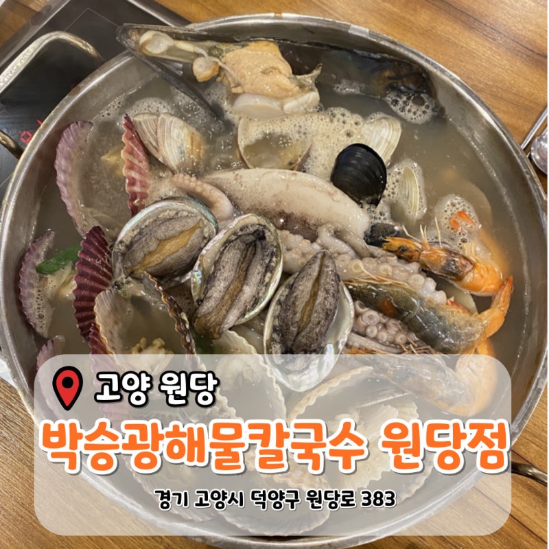 [고양 원당] 해물가득 한상 '박승광해물칼국수 원당점' 고양시맛집