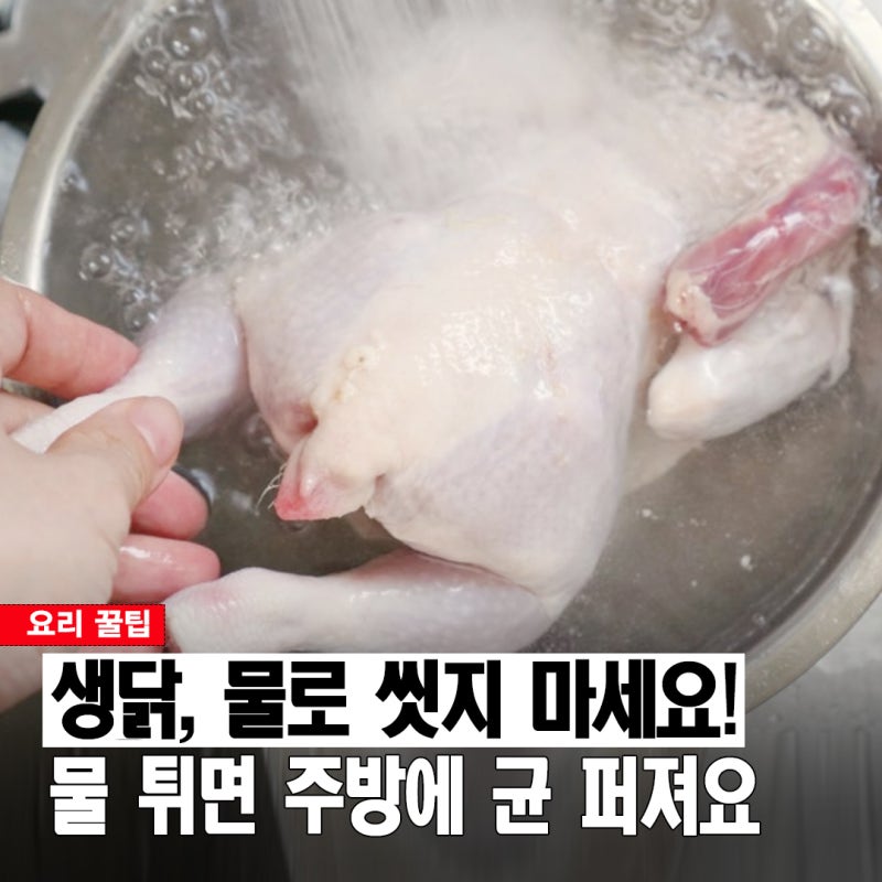 생닭, 씻는다 vs 안 씻는다! 싱크대에서 물로 씻으면 위험한 이유