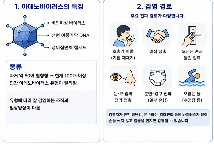 아데노바이러스 감염 경로부터 증상 치료 예방법까지