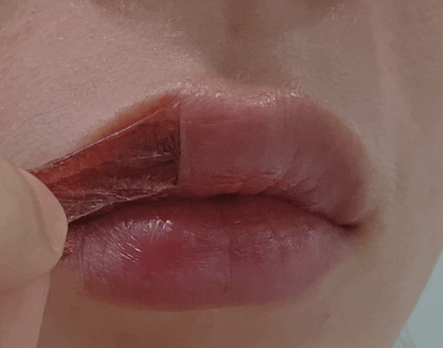 다이소 립타투팩 베리썸 02 구아바핑크 발색과 지속력 후기
