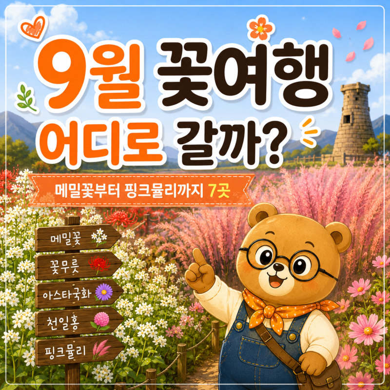 9월 꽃여행 어디로 갈까｜메밀꽃부터 핑크뮬리까지 7곳
