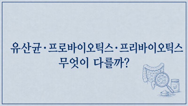 [유산균 균주 사전] 유산균· 프로바이오틱스·프리바이오틱스 무엇이 다를까?