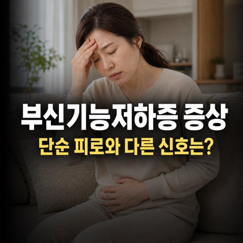 부신기능저하증 증상, 단순 피로인 줄 알았는데 몸이 보내는 위험신호