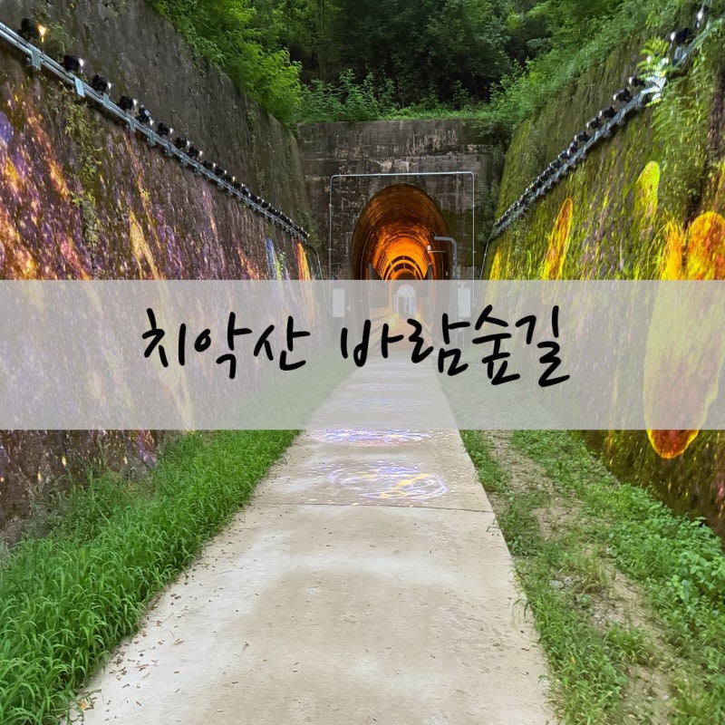 원주 산책로 추천 치악산바람길숲 주차 원주터널 코스