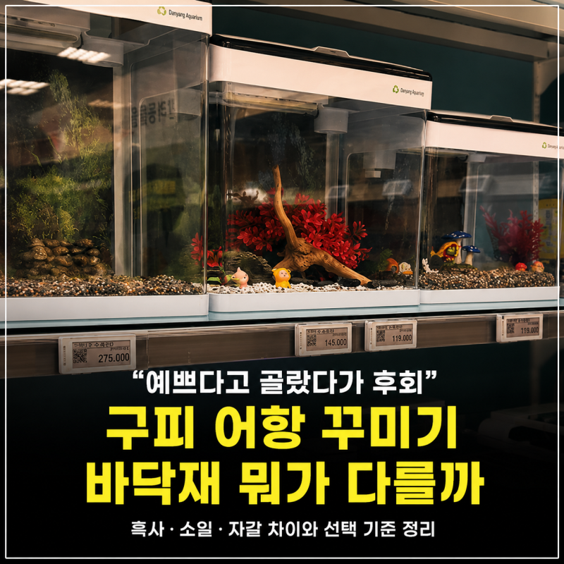 “예쁘다고 골랐다가 후회” 구피 어항 꾸미기 바닥재 뭐가 다를까?