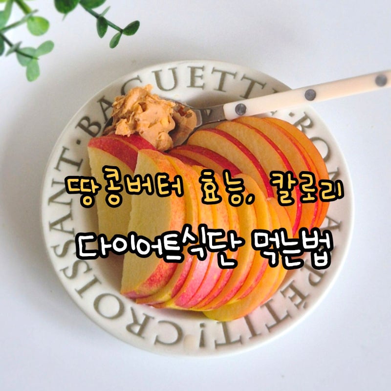 땅콩버터 효능 칼로리 다이어트 먹는법 100% 땅콩버터 추천