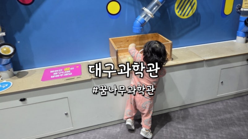 대구과학관 꿈나무과학관 16개월 아기도 잘 놀고 왔을까?(입장료, 주차)