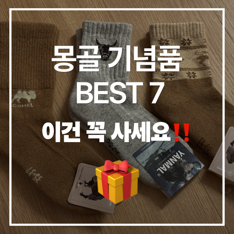 몽골 여행 쇼핑 리스트 7가지｜울란바토르 국영백화점·테를지 기념품 구매 후기 가격 정리