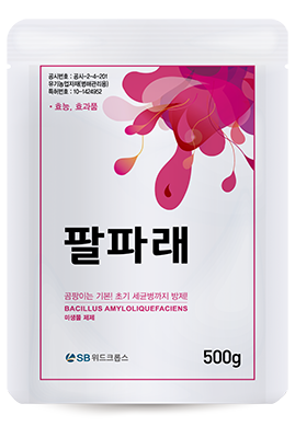 지긋지긋한 배추 무름병! '팔파래'로 싹~ 잡는 확실한 예방법